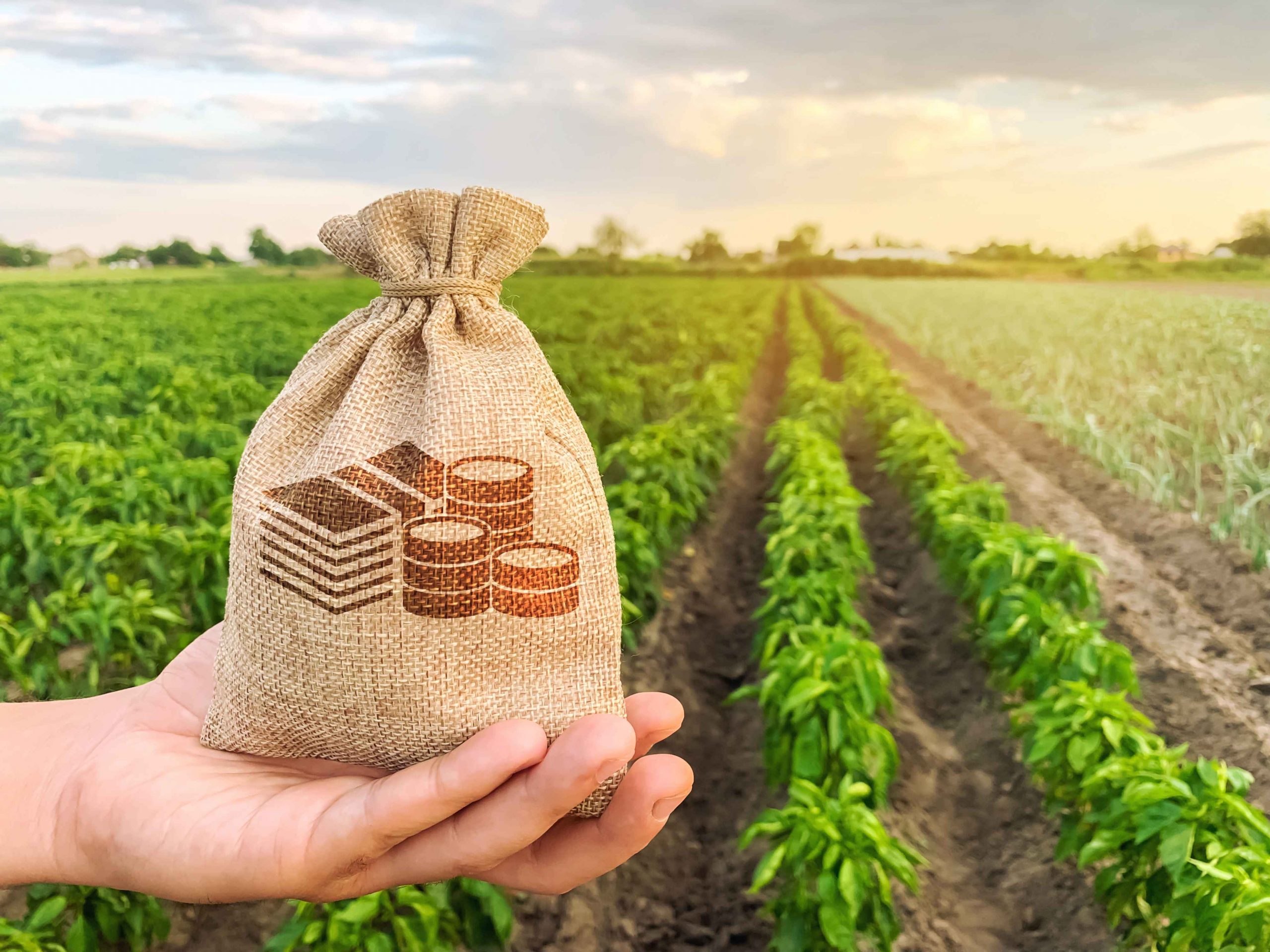 Meningkatkan Kesejahteraan Petani dengan Teknologi Biopori